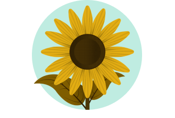 A sunflower